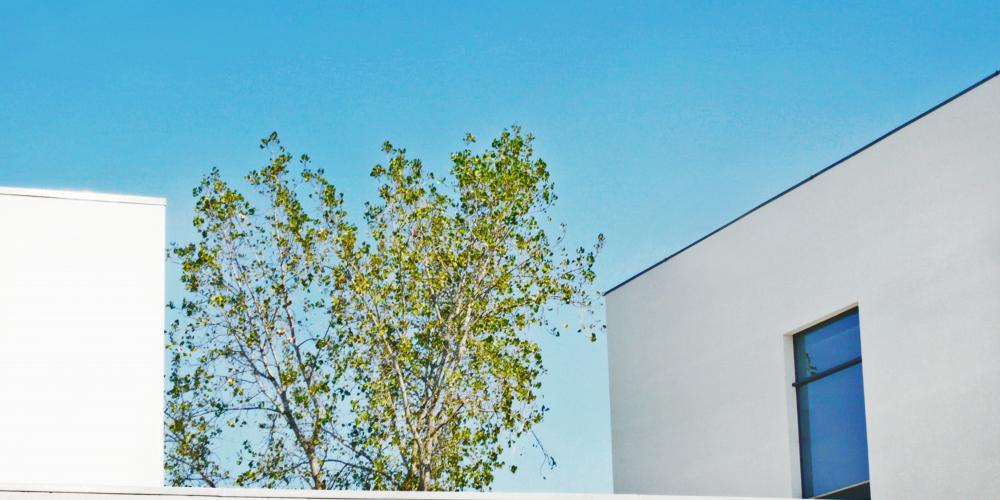 escola secundária protejo arquitectura construção obra parque escolar 